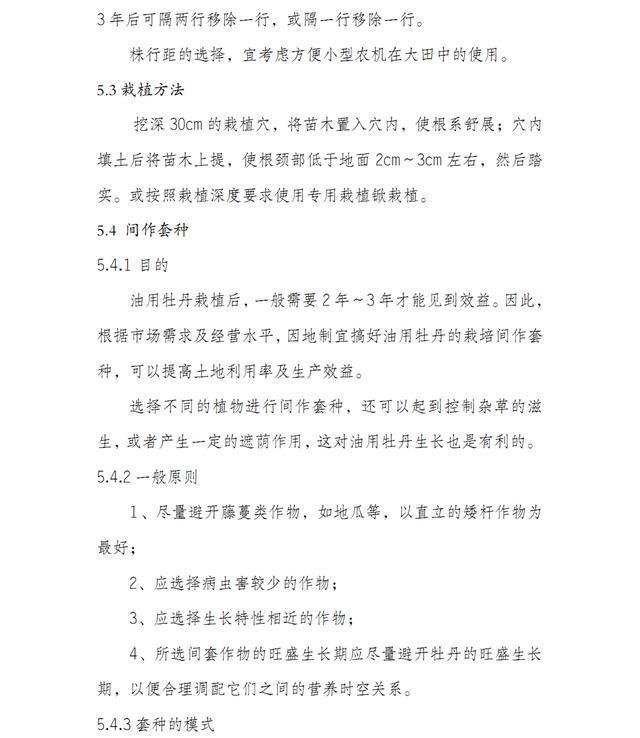 按照这9个条件去建设，才能申报油用牡丹示范项目补贴资金！