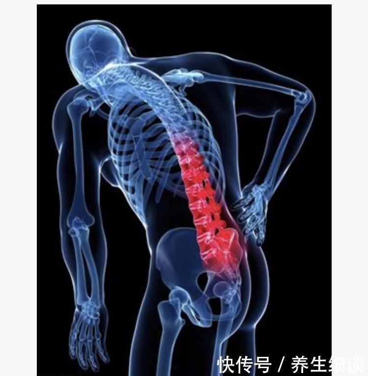 还在被腰痛所困扰?问题出在这儿,4个动作,5分