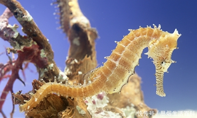 t019fc0deb7aecf222c.jpg?size=640x385