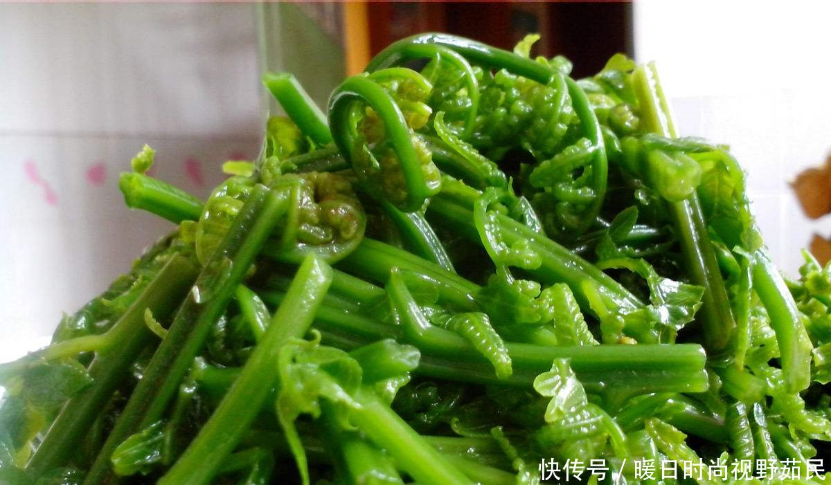 美食野生蕨菜山美味,我们应吃正确农村台湾常州图片