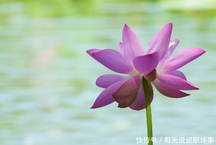 职场老油条提醒:领导最怕员工这两点,员工最怕