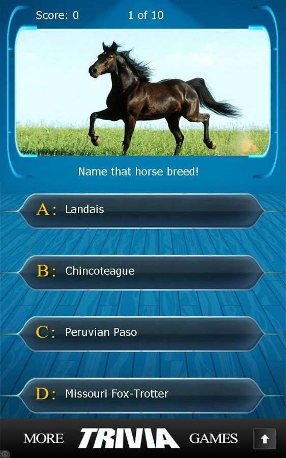 Name that Horse Breed Trivia截图3