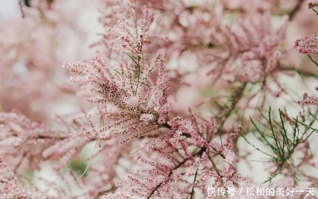 t01a5a782bf115e9737.jpg?size=640x401