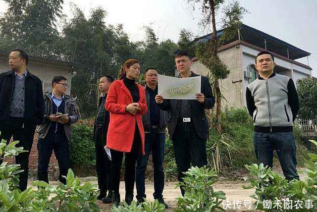 土地确权前没申请到宅基地,确权后还能申请吗?这三种情况可以!