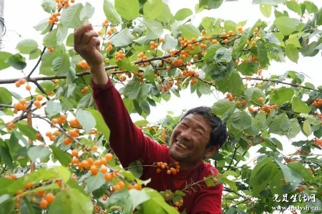 十堰郧阳樱桃沟村:乡愁的氤氲之地