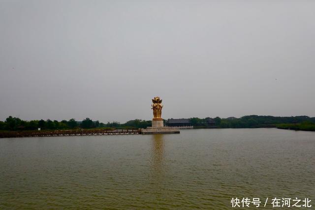 菩提岛 菩提树下 海风拂面 任天地在胸中激荡