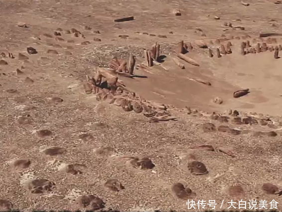 我国门票最贵景区，国人3500，外国人30万，网友：简直逆天