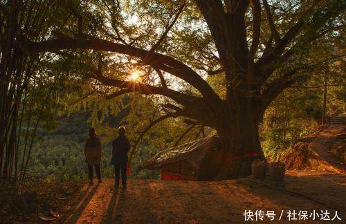 医保一个月交多少钱