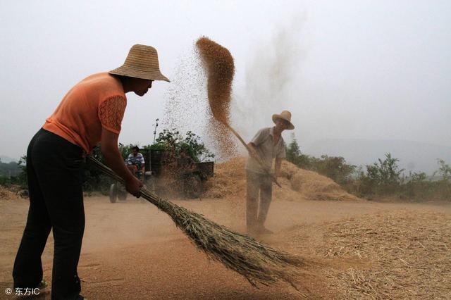 农村即将消失的3种村情,每一个农村人的回忆,你也不例外
