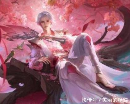 王者荣耀网评英雄中的5大男神,图3靠脸撑,图5