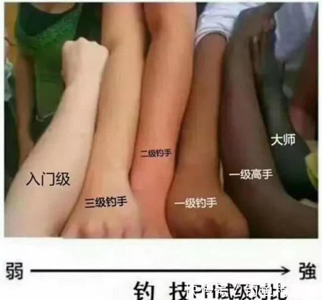 夏季,钓鱼人最容易受伤的部位,很多钓友中招 日博国际官