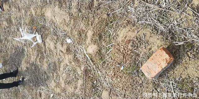 幼儿园工作人员用导弹击落无人机,网友的评论