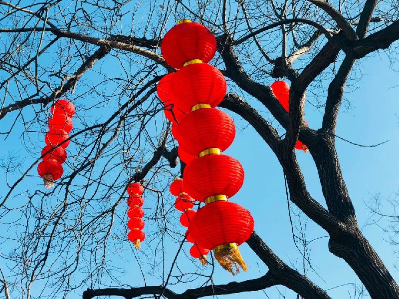 2018春节北京市属公园25项新春游园活动发布