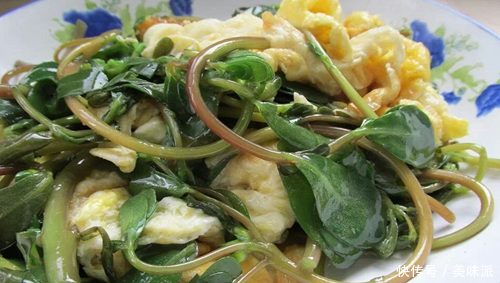 这种菜在农村多如杂草,用来吃的人却很少,在城市是餐桌上的美味