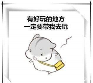 超萌的不能表情:闭上我的小表情,我都听撒娇加信的耳朵包微名新图片