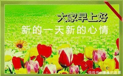 2018最新版漂亮早上好v表情表情图片表情包动感大聊天全集图片动态最漂图片
