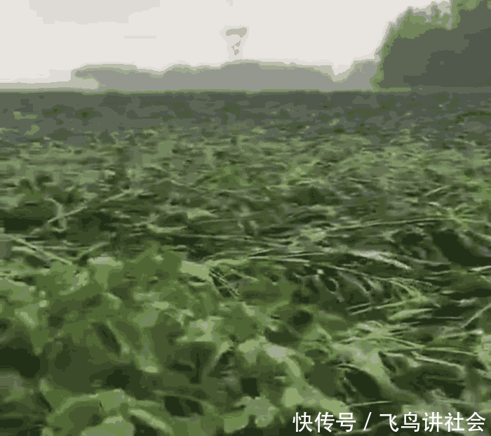 河南多地暴雨, 多城市积水较深, 又有车辆被洪水