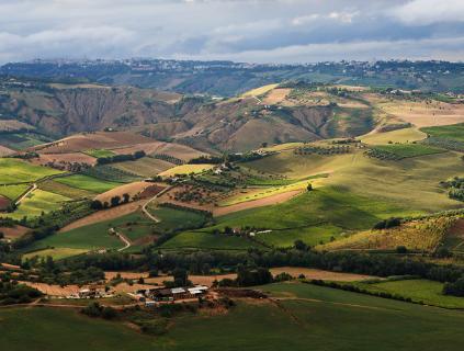 财神都眼红!这三大生肖开门见喜出门遇贵人,好