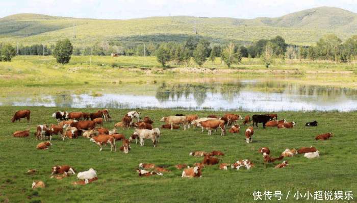 杨幂老家青丘真的存在 赵丽颖在这空手劈狼
