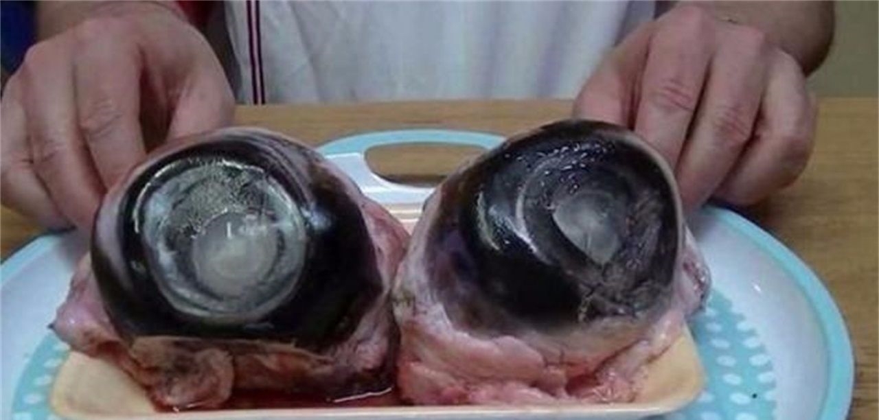 世界4种奇葩海鲜料理:腌鲑鱼不算啥,不知道你