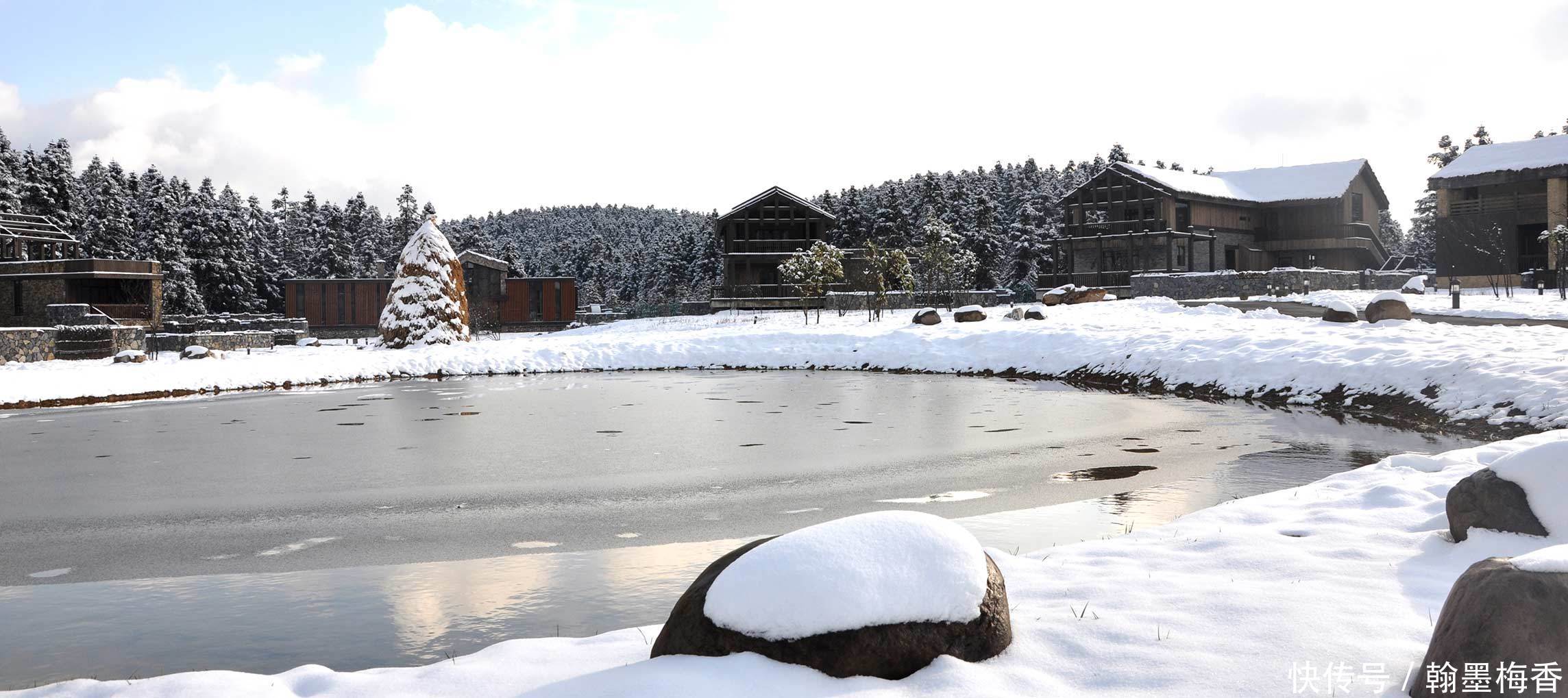 t01b1704c2d511700fa.jpg?size=2288x1019