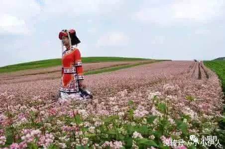 贵州省面积最大、人口最多、海拔最高的一个县