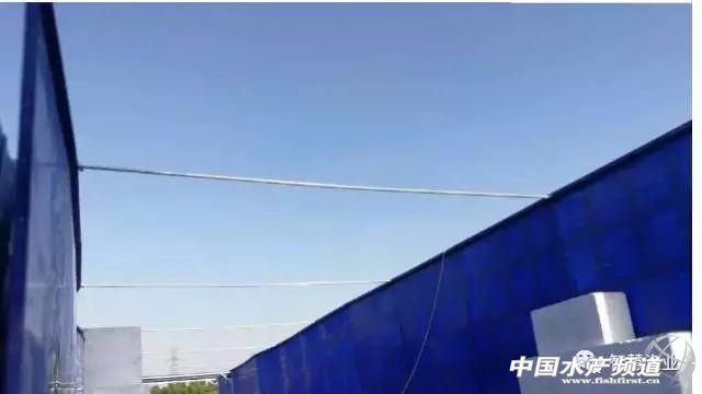 流水养鱼模式的养殖方法和效益你知道吗