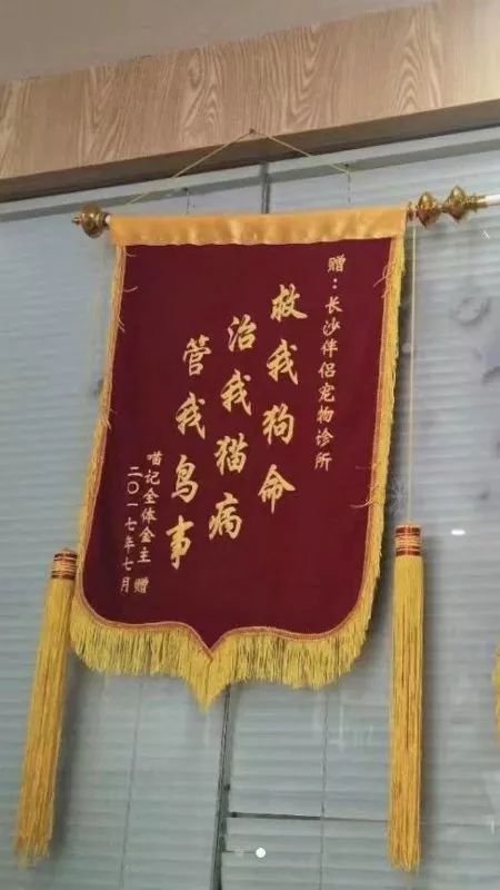 边开边做,老司机车技真的好啊!爆笑内涵囧图(544)