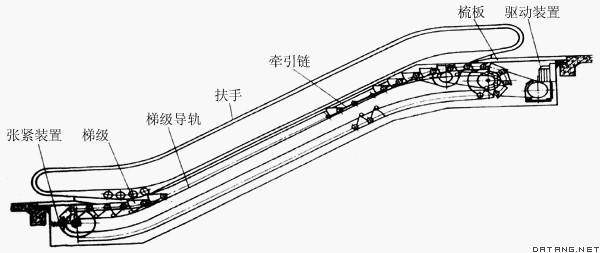 自动扶梯