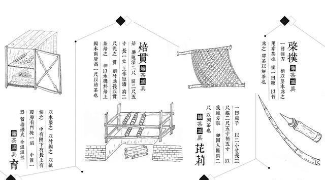 茶易师:中国茶叶界最会用《易经》算卦的知名