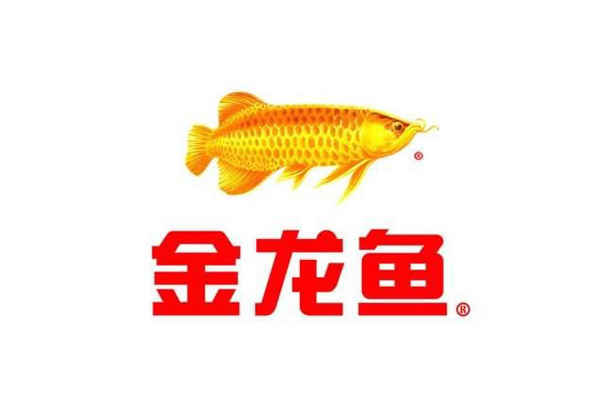 紅龍魚必須用燈光照嗎