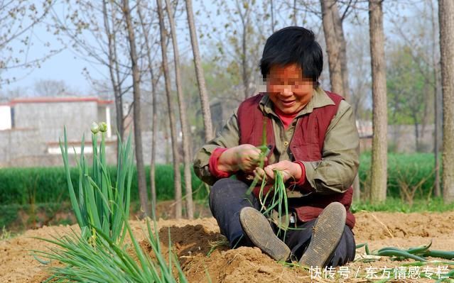 哑巴婆婆做饭太咸，我偷跑进厨房尝菜，掀开锅盖，我又加两勺盐！