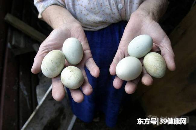 一天吃几个鸡蛋才健康?这里有你想要的答案!