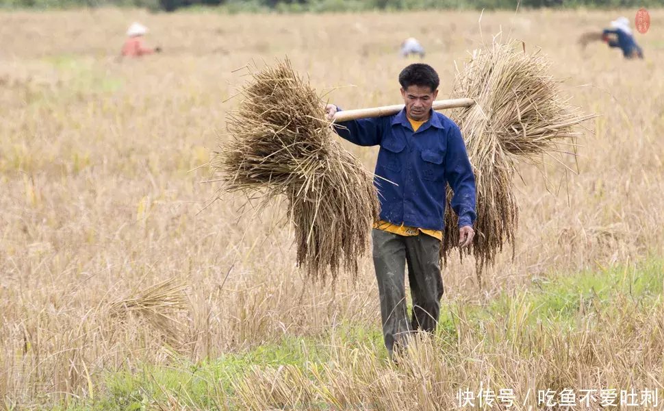 明知拼多多是假货,为什么还有3亿人在拼?
