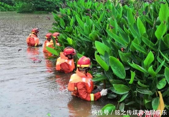 深圳暴雨引发洪水已致9人死亡2人失联 搜救正