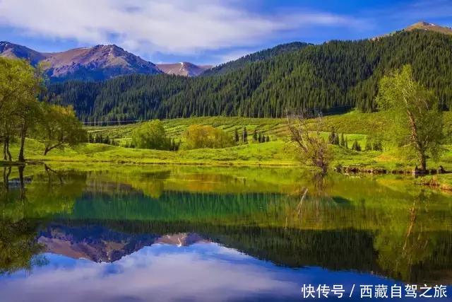 巩乃斯大草原,天山深处的“伊甸园”,一年四季都美得惊人!