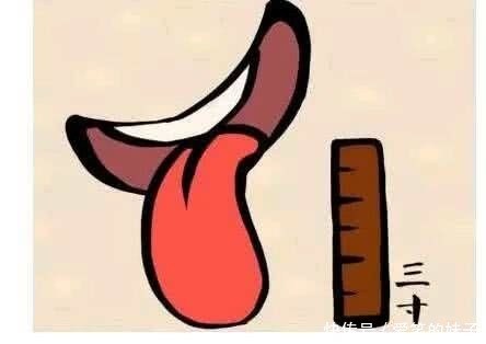 妹子这手机支架太让人脸红,赶紧收起来吧,毕竟