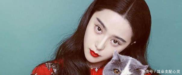 当红一线明星片酬曝光,杨幂、热巴、赵丽颖上