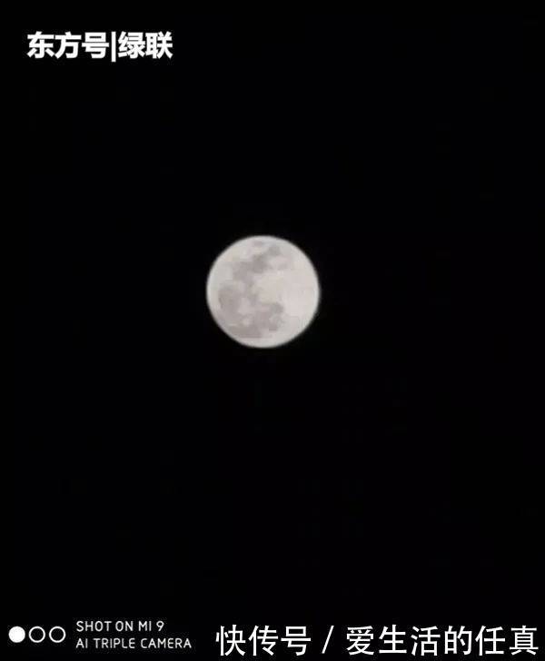 掌握这3个手机拍照的技巧,还怕拍不出好照片