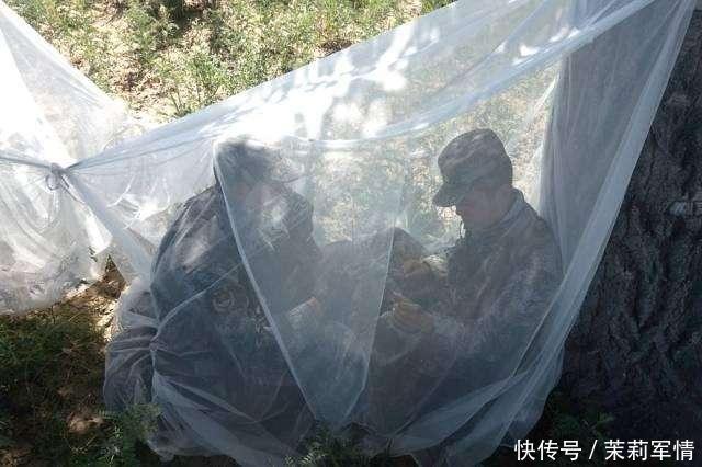 在被称为死亡地带的百里蚊区, 三天灭蚊6.5公