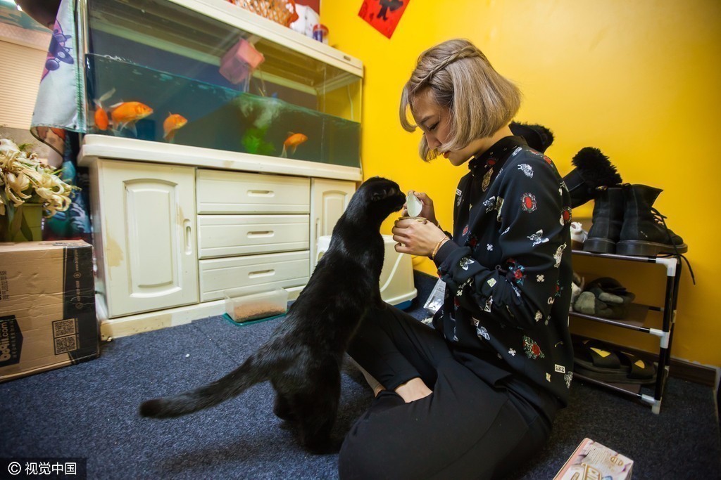 摆地摊的三轮车改装图_北京摆地摊平均收入