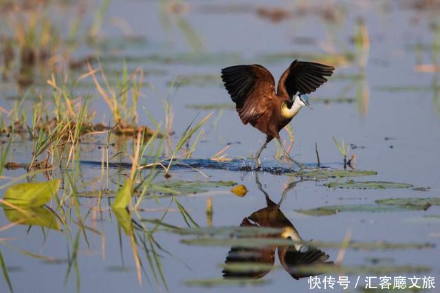 江一燕流连忘返的圣地,探险家的乐园,这个国度终于落地签啦!