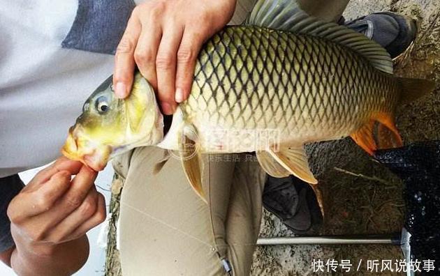 接生婆的两句话,让农村穷小子大富大贵,报恩时