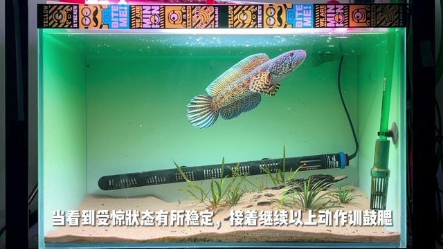 蘭州魚缸訂做店電話號碼多少（蘭州魚缸訂做店電話號碼多少號）