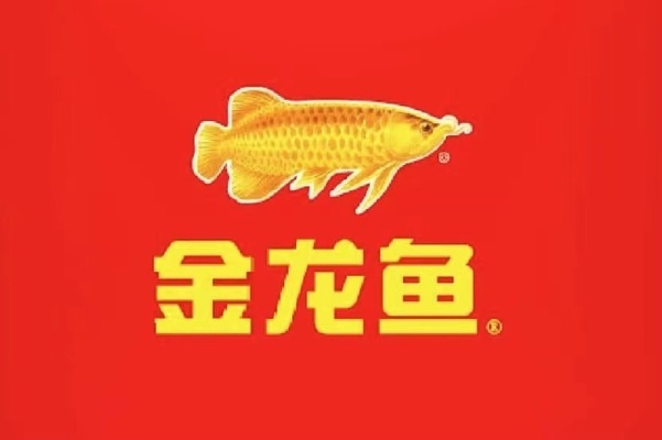 印尼紅龍魚發(fā)色過程圖解視頻大全（印尼紅龍魚發(fā)色過程圖解視頻大全下載）