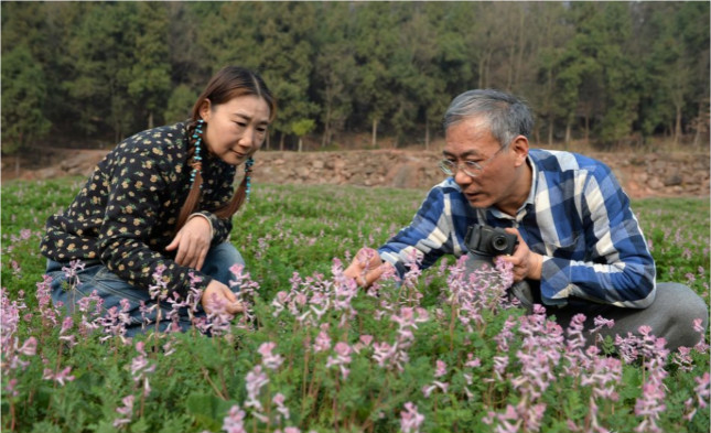 情人节谈情说爱:论浪漫，我们和鲁迅徐志摩差了一大截!