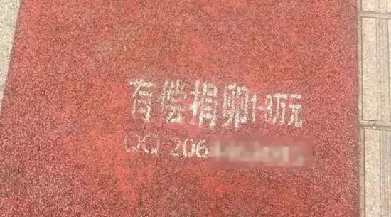 女大学生“捐卵”20颗赚3万5！最后的遭遇，让人一声叹息