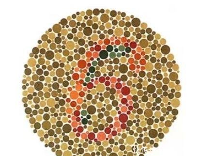 车管所确认难度9星的权威色盲测试图,第5张95