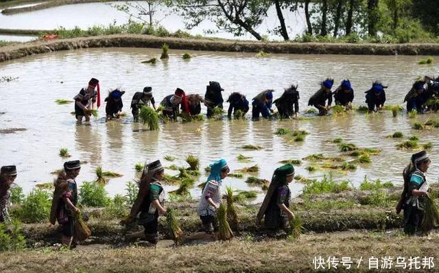 2018元阳梯田“开秧门”