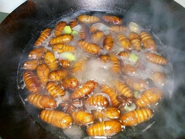 云南人真会吃:昆虫蛋白含量超高,但现在没落了!